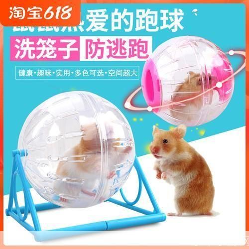 仓鼠球怎么用: 仓鼠球的正确使用方法