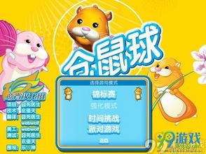 仓鼠球宠物玩法攻略，轻松互动乐趣多