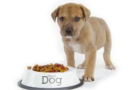 Natural Pet Food
