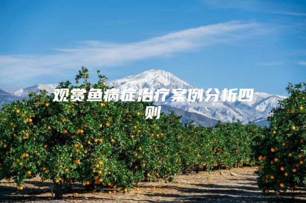 观赏鱼病症治疗案例分析四则