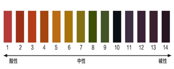 如何判断鱼是否需要体检（观赏鱼体检的视频教程）
