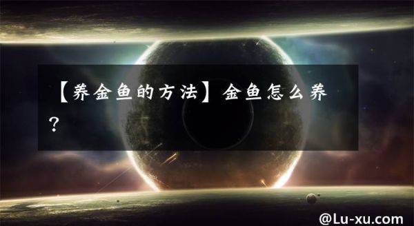 【养金鱼的方法】金鱼怎么养？文章配图