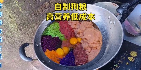 狗粮与自制狗饭混合喂食的利弊是什么？