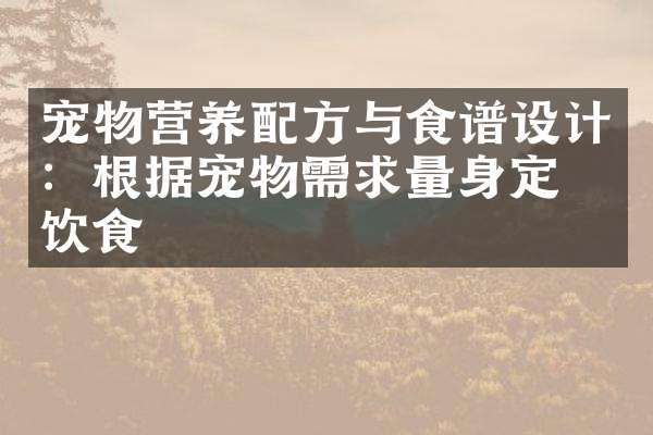 宠物营养与食谱设计：根据宠物需求量身定制饮食