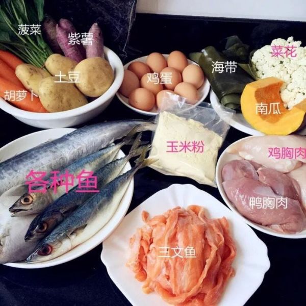 自制鱼肉狗粮