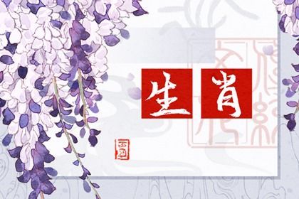 属蛇_生肖蛇
