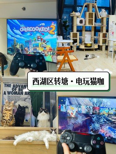 百款游戏！66撸猫Double快乐！