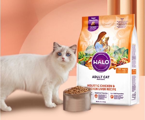 什么品牌的猫粮好而不贵(便宜但靠谱的猫粮品牌推荐)