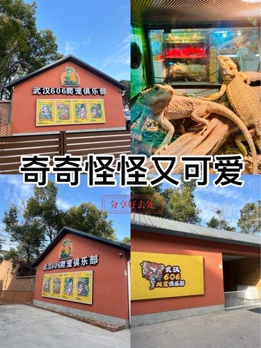 周末探索新去处~