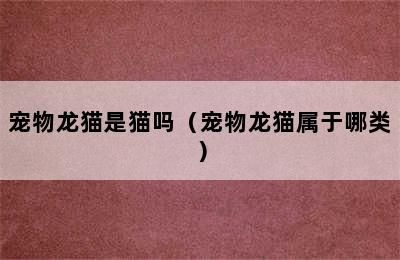 宠物龙猫是猫吗（宠物龙猫属于哪类）