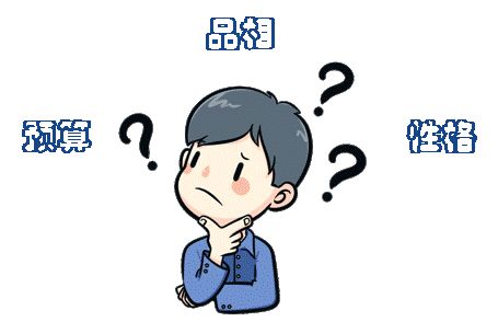 宠物龙猫怎么挑选