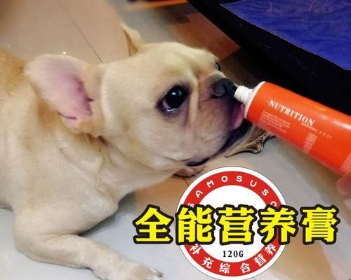 微量元素对狗狗的健康作用（探究微量元素在宠物养护中的重要性）