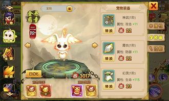 夏日宠物能量补给攻略