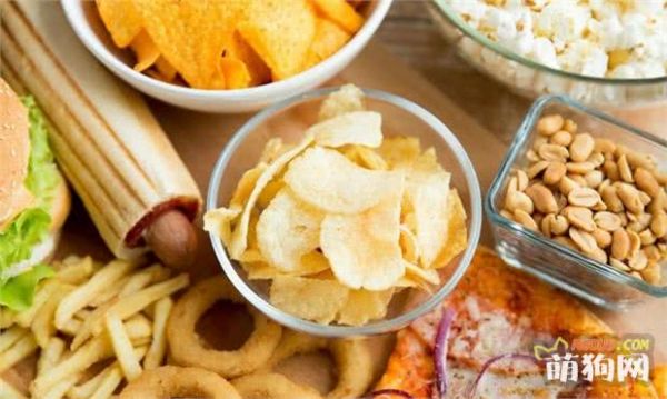 狗狗营养品有哪些 狗狗吃什么食物比较好