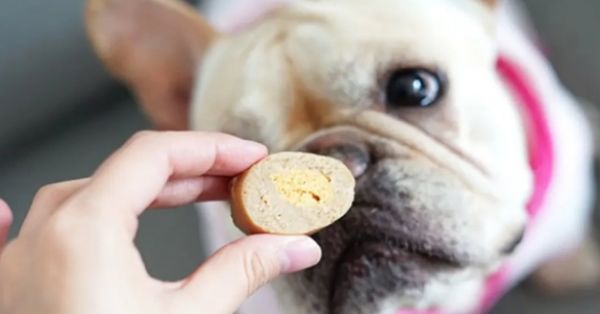 训练2个月的狗狗买什么零食