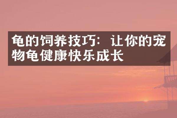 龟的饲养技巧：让你的宠物龟健康快乐成长