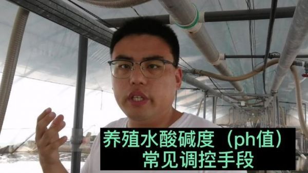 飞凤鱼繁殖期水质监控技术，飞凤鱼繁殖期ph值调节设备（飞凤鱼繁殖期换水频率建议飞凤鱼繁殖期ph值）