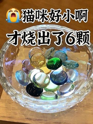 猫咪好小啊变成6颗水晶石️永远陪伴我