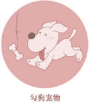 勾狗宠物