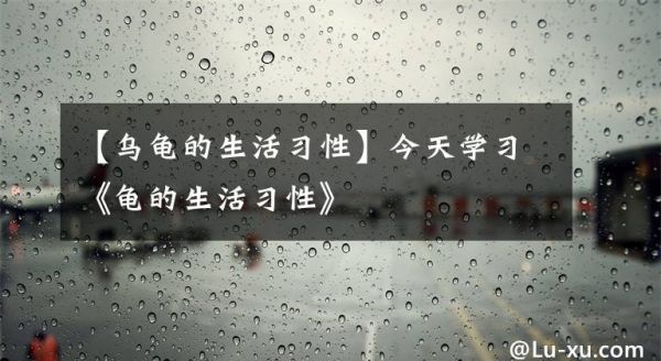 【乌龟的生活习性】今天学习《龟的生活习性》文章配图