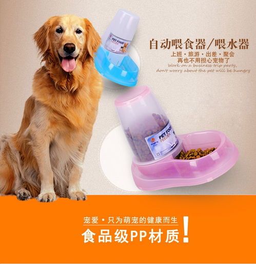 “宠物日常必备神器，推荐自动喂水器！”