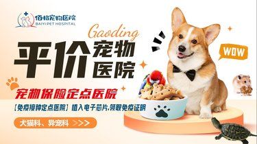 宠物们的健康守护者