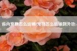 省内宠物怎么运输(宠物怎么运输到外地)