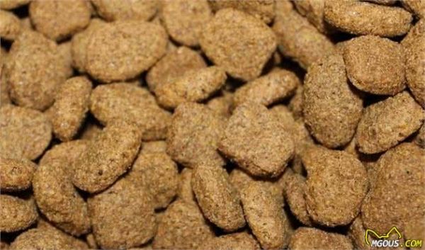 纠结自家狗狗吃什么犬粮好？挑选方法全在这里