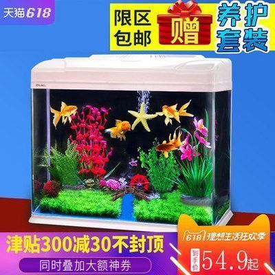 金龙鱼鱼缸要求多高（金龙鱼鱼缸布置注意事项金龙鱼鱼缸高度的具体要求）