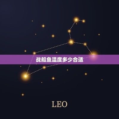 招财战船鱼繁殖容器布置指南（招财战船鱼的繁殖容器尺寸）