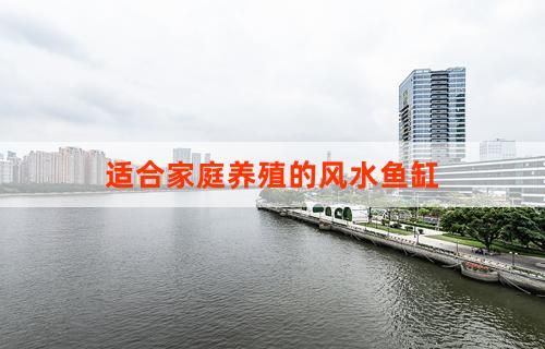适合家庭养殖的风水鱼缸