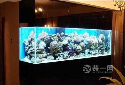 鱼缸位置摆放