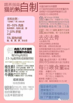 给流浪猫的猫饭(也适用于家庭)的做法 步骤5