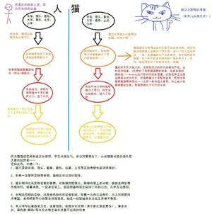 给流浪猫的猫饭(也适用于家庭)的做法 步骤7