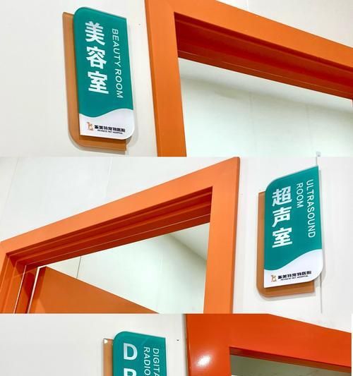 宠物体检的重要性及注意事项（了解什么情况下需要为宠物进行体检，掌握相关注意事项）