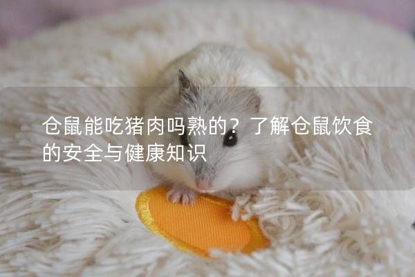 仓鼠能吃猪肉吗熟的？了解仓鼠饮食的安全与健康知识
