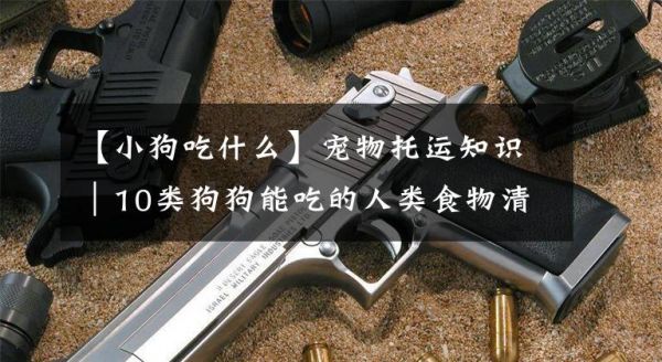 【小狗吃什么】宠物托运知识｜10类狗狗能吃的人类食物清单文章配图