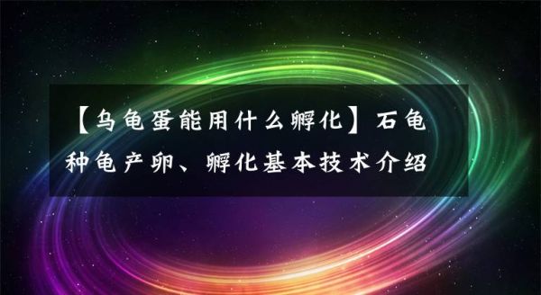 【乌龟蛋能用什么孵化】石龟种龟产卵、孵化基本技术介绍文章配图