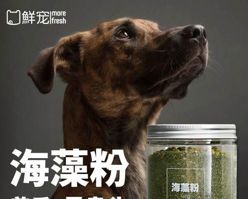 狗狗微量元素吃多少合适？如何正确补充？