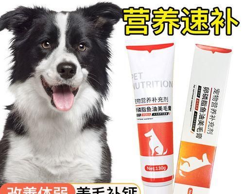 狗狗微量元素吃多少合适？如何正确补充？