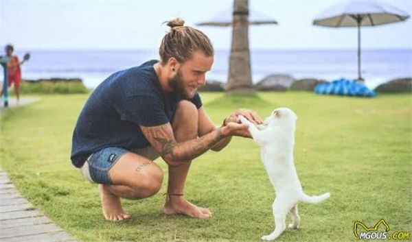 狗狗怎么拍？把握这几点，拍出如此生动的狗狗不是难事！