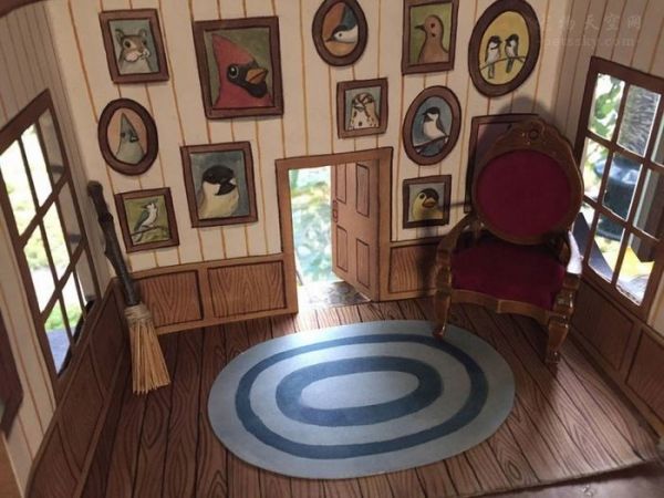 为野外的鸟儿做了一个豪华小屋 她是我见过最懂爱的爱鸟人