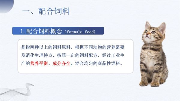 宠物营养与食品 课件 项目二 宠物食品荐_第3页
