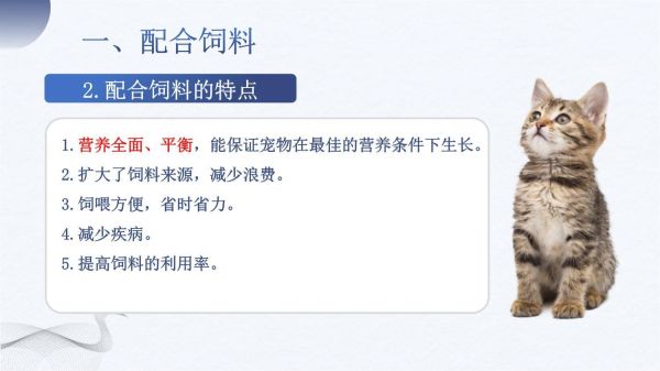 宠物营养与食品 课件 项目二 宠物食品荐_第4页