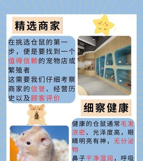 宠物店购买仓鼠粮食需要注意什么？