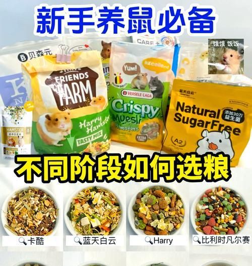宠物店购买仓鼠粮食需要注意什么？
