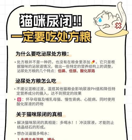 猫咪肾脏处方湿粮有什么好处？如何选择？