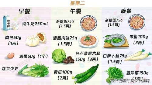 宠物肾病饮食调养指南