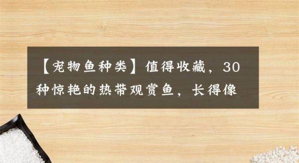 【宠物鱼种类】值得收藏，30种惊艳的热带观赏鱼，长得像精灵的却没人敢养文章配图