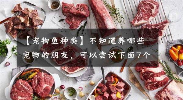 【宠物鱼种类】不知道养哪些宠物的朋友，可以尝试下面7个品种文章配图